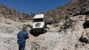 CowTrail_1_2026