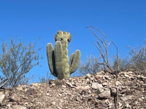 TeranWash_1_2026